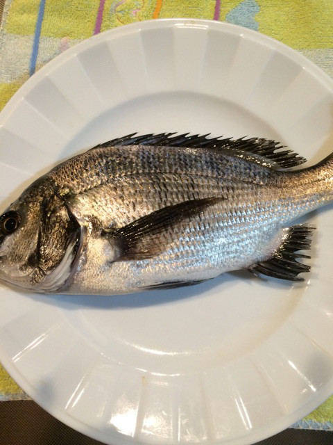 {73D7C67B-9F2F-4F2D-8770-A3F8174F9829}